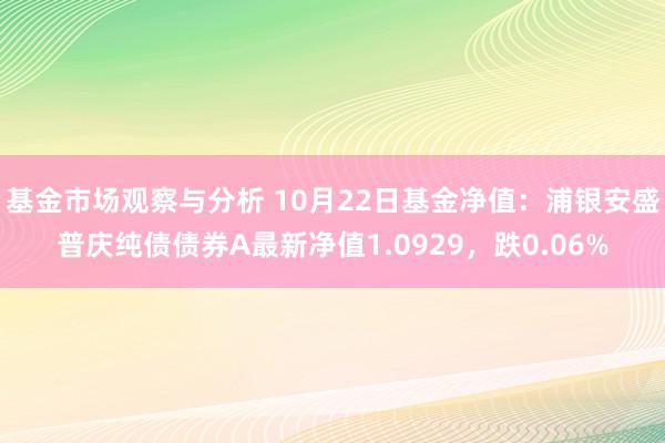 基金市场观察与分析 10月22日基金净值：浦银安盛普庆纯债债券A最新净值1.0929，跌0.06%