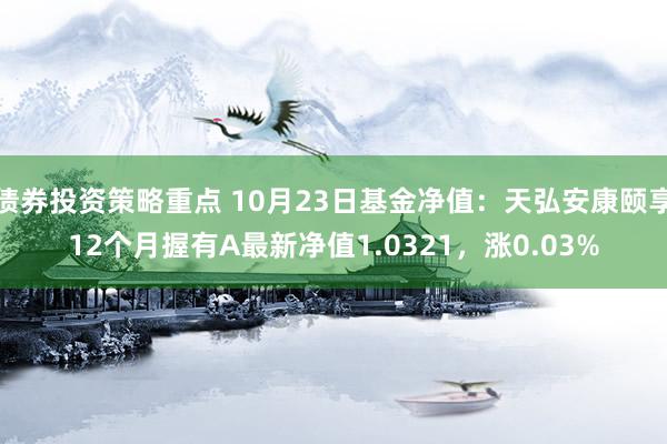 债券投资策略重点 10月23日基金净值：天弘安康颐享12个月握有A最新净值1.0321，涨0.03%