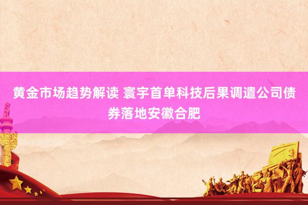 黄金市场趋势解读 寰宇首单科技后果调遣公司债券落地安徽合肥