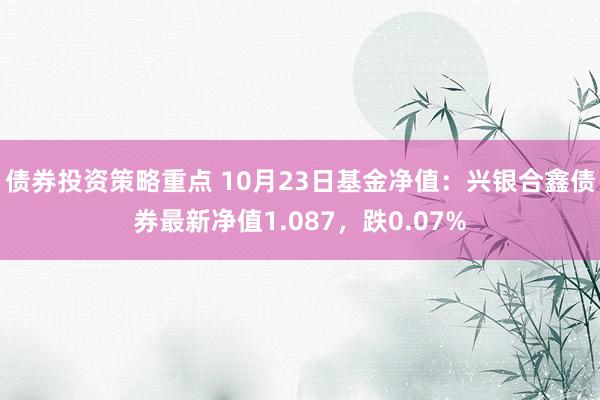 债券投资策略重点 10月23日基金净值：兴银合鑫债券最新净值1.087，跌0.07%