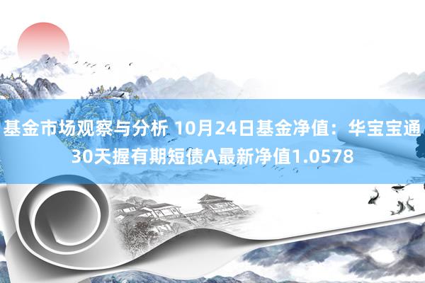 基金市场观察与分析 10月24日基金净值：华宝宝通30天握有期短债A最新净值1.0578