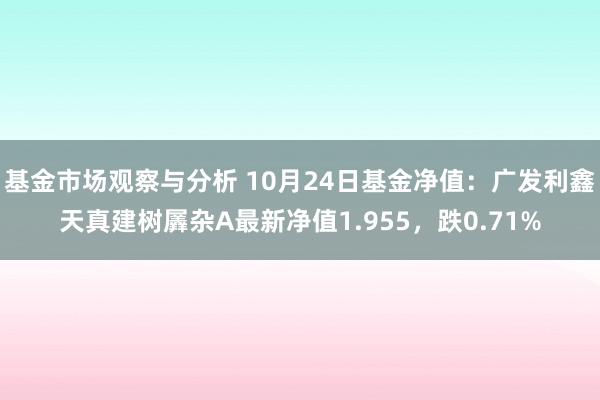 基金市场观察与分析 10月24日基金净值：广发利鑫天真建树羼杂A最新净值1.955，跌0.71%