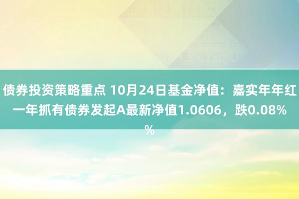 债券投资策略重点 10月24日基金净值：嘉实年年红一年抓有债券发起A最新净值1.0606，跌0.08%