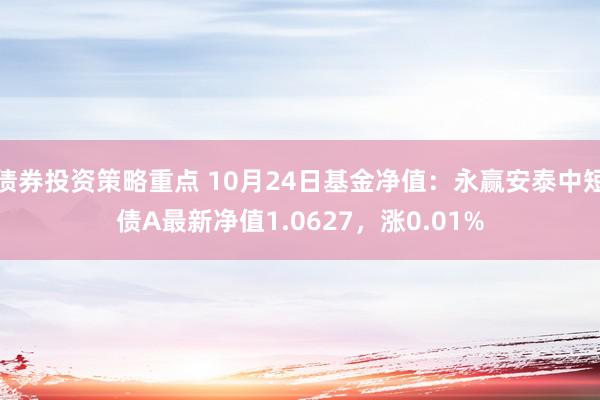 债券投资策略重点 10月24日基金净值：永赢安泰中短债A最新净值1.0627，涨0.01%