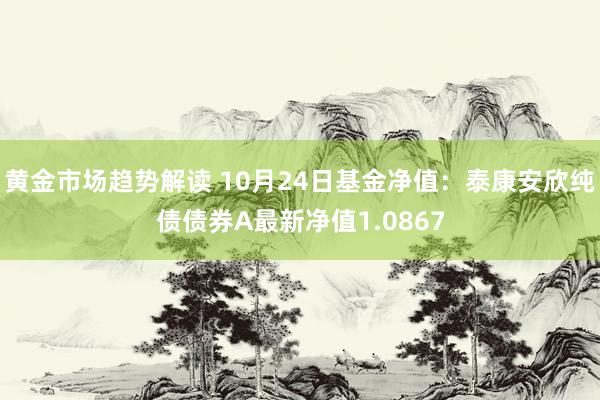 黄金市场趋势解读 10月24日基金净值：泰康安欣纯债债券A最新净值1.0867