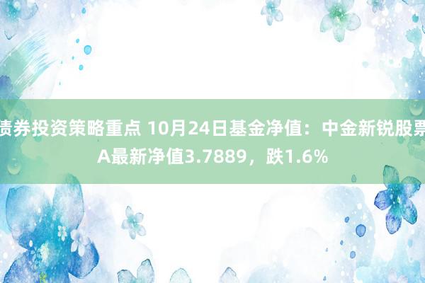 债券投资策略重点 10月24日基金净值：中金新锐股票A最新净值3.7889，跌1.6%