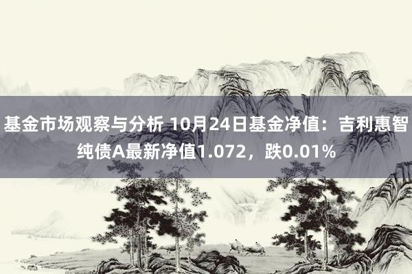 基金市场观察与分析 10月24日基金净值：吉利惠智纯债A最新净值1.072，跌0.01%