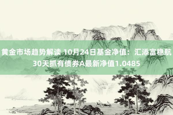 黄金市场趋势解读 10月24日基金净值：汇添富稳航30天抓有债券A最新净值1.0485