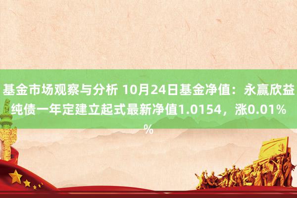 基金市场观察与分析 10月24日基金净值：永赢欣益纯债一年定建立起式最新净值1.0154，涨0.01%