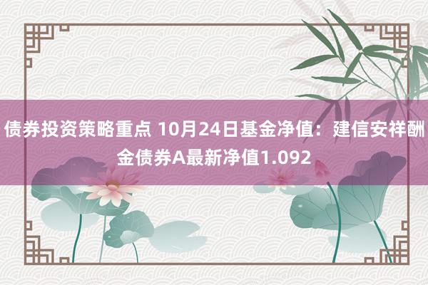 债券投资策略重点 10月24日基金净值：建信安祥酬金债券A最新净值1.092