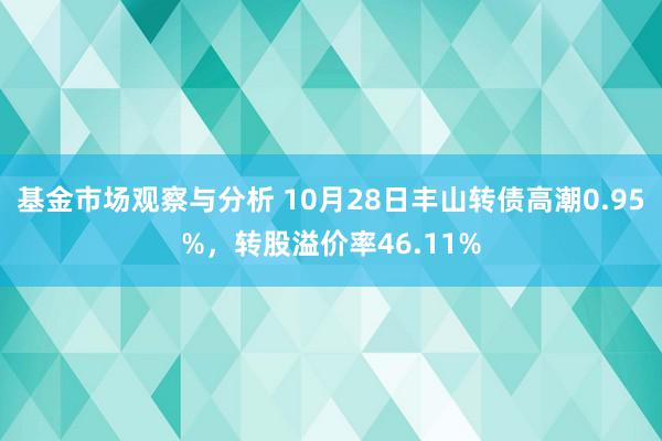 基金市场观察与分析 10月28日丰山转债高潮0.95%，转股溢价率46.11%