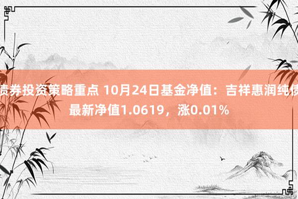 债券投资策略重点 10月24日基金净值：吉祥惠润纯债最新净值1.0619，涨0.01%