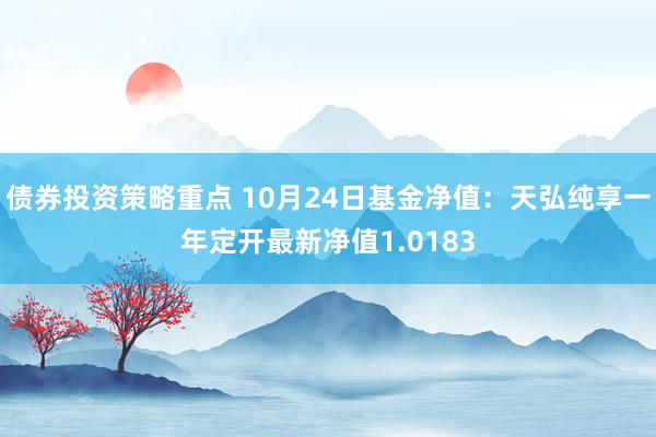 债券投资策略重点 10月24日基金净值：天弘纯享一年定开最新净值1.0183