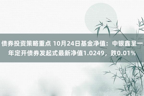 债券投资策略重点 10月24日基金净值：中银鑫呈一年定开债券发起式最新净值1.0249，跌0.01%