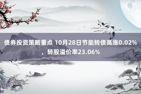 债券投资策略重点 10月28日节能转债高涨0.02%，转股溢价率23.06%