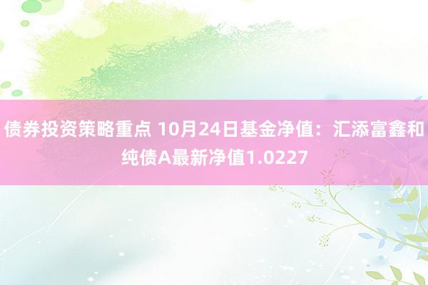 债券投资策略重点 10月24日基金净值：汇添富鑫和纯债A最新净值1.0227