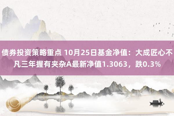 债券投资策略重点 10月25日基金净值：大成匠心不凡三年握有夹杂A最新净值1.3063，跌0.3%