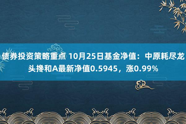 债券投资策略重点 10月25日基金净值：中原耗尽龙头搀和A最新净值0.5945，涨0.99%