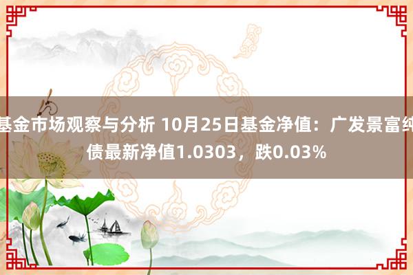 基金市场观察与分析 10月25日基金净值：广发景富纯债最新净值1.0303，跌0.03%