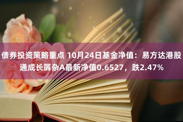 债券投资策略重点 10月24日基金净值：易方达港股通成长羼杂A最新净值0.6527，跌2.47%