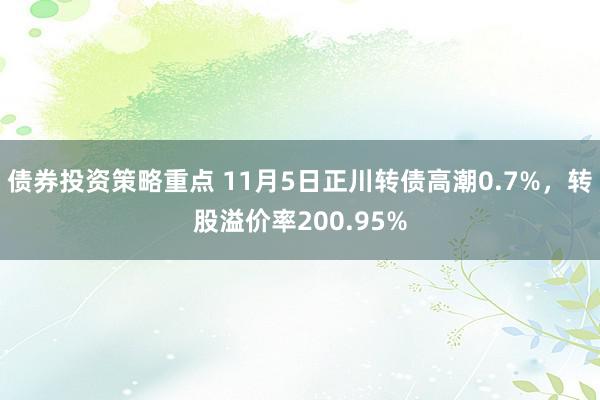 债券投资策略重点 11月5日正川转债高潮0.7%，转股溢价率200.95%