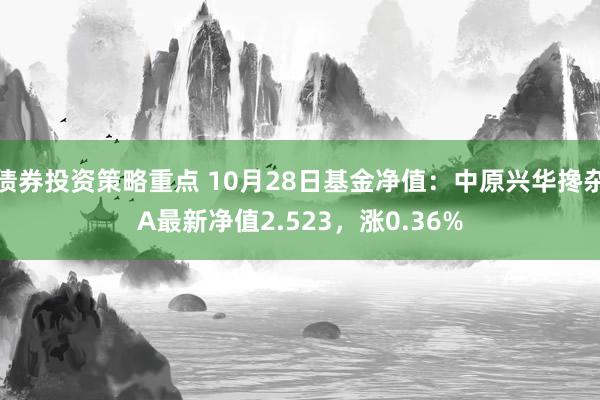 债券投资策略重点 10月28日基金净值：中原兴华搀杂A最新净值2.523，涨0.36%