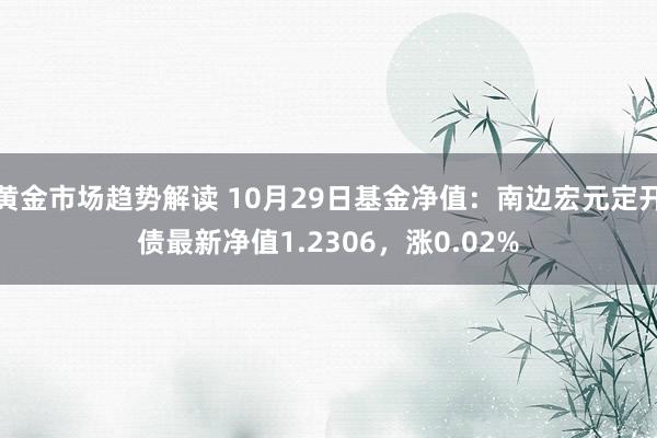 黄金市场趋势解读 10月29日基金净值：南边宏元定开债最新净值1.2306，涨0.02%