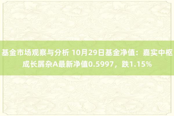 基金市场观察与分析 10月29日基金净值：嘉实中枢成长羼杂A最新净值0.5997，跌1.15%