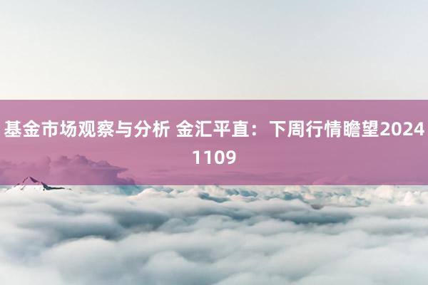 基金市场观察与分析 金汇平直：下周行情瞻望20241109