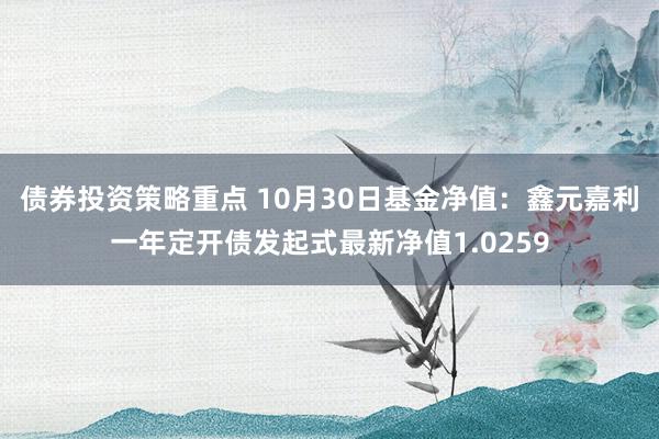 债券投资策略重点 10月30日基金净值：鑫元嘉利一年定开债发起式最新净值1.0259