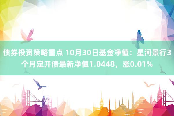 债券投资策略重点 10月30日基金净值：星河景行3个月定开债最新净值1.0448，涨0.01%