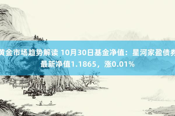 黄金市场趋势解读 10月30日基金净值：星河家盈债券最新净值1.1865，涨0.01%