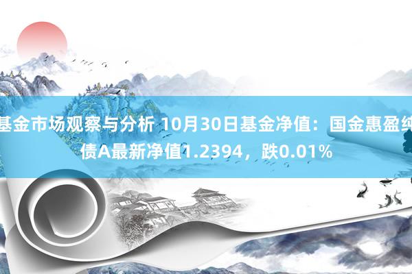 基金市场观察与分析 10月30日基金净值：国金惠盈纯债A最新净值1.2394，跌0.01%