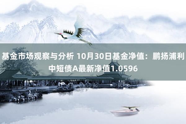 基金市场观察与分析 10月30日基金净值：鹏扬浦利中短债A最新净值1.0596