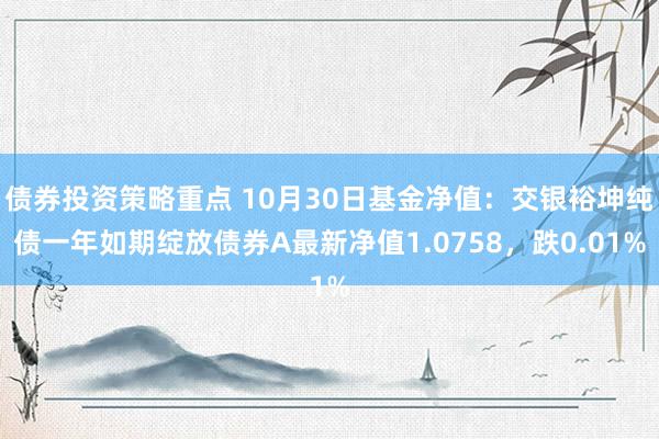 债券投资策略重点 10月30日基金净值：交银裕坤纯债一年如期绽放债券A最新净值1.0758，跌0.01%