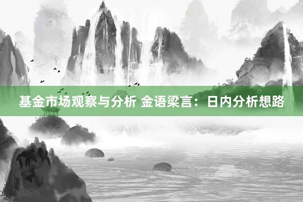 基金市场观察与分析 金语梁言：日内分析想路