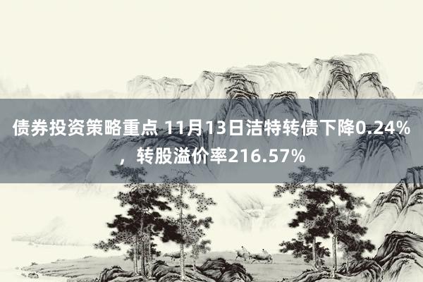 债券投资策略重点 11月13日洁特转债下降0.24%，转股溢价率216.57%