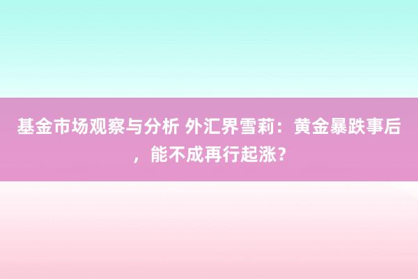 基金市场观察与分析 外汇界雪莉：黄金暴跌事后，能不成再行起涨？