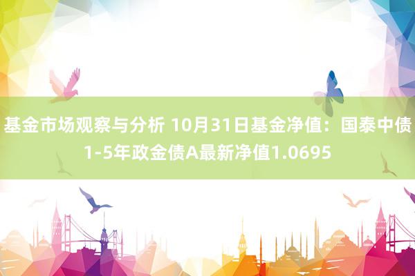 基金市场观察与分析 10月31日基金净值：国泰中债1-5年政金债A最新净值1.0695