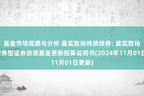 基金市场观察与分析 嘉实致裕纯债债券: 嘉实致裕纯债债券型证券投资基金更新招募说明书(2024年11月01日更新)