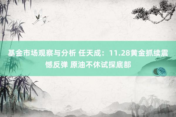 基金市场观察与分析 任天成：11.28黄金抓续震憾反弹 原油不休试探底部