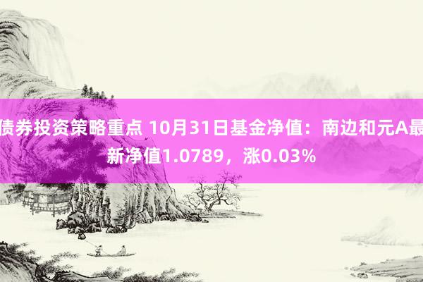 债券投资策略重点 10月31日基金净值：南边和元A最新净值1.0789，涨0.03%