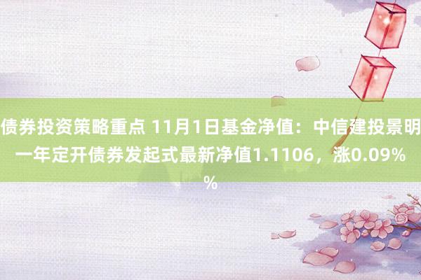 债券投资策略重点 11月1日基金净值：中信建投景明一年定开债券发起式最新净值1.1106，涨0.09%