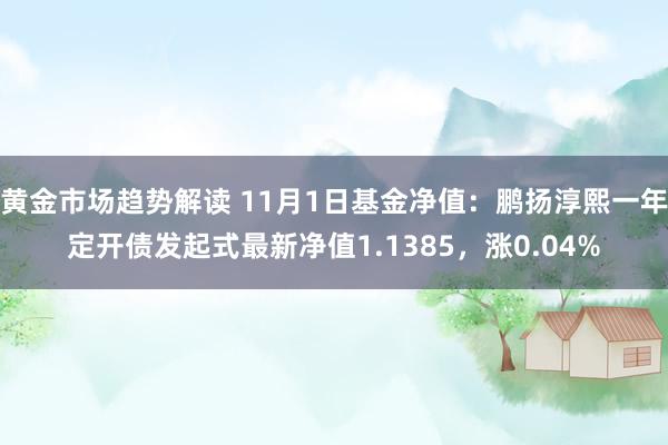 黄金市场趋势解读 11月1日基金净值：鹏扬淳熙一年定开债发起式最新净值1.1385，涨0.04%