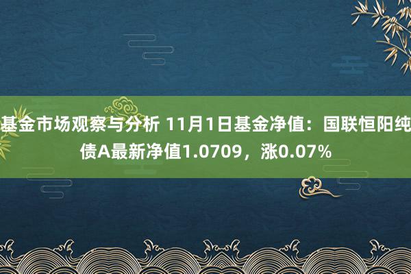 基金市场观察与分析 11月1日基金净值：国联恒阳纯债A最新净值1.0709，涨0.07%