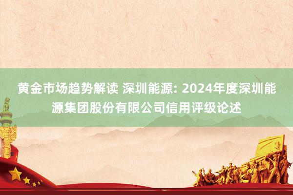 黄金市场趋势解读 深圳能源: 2024年度深圳能源集团股份有限公司信用评级论述