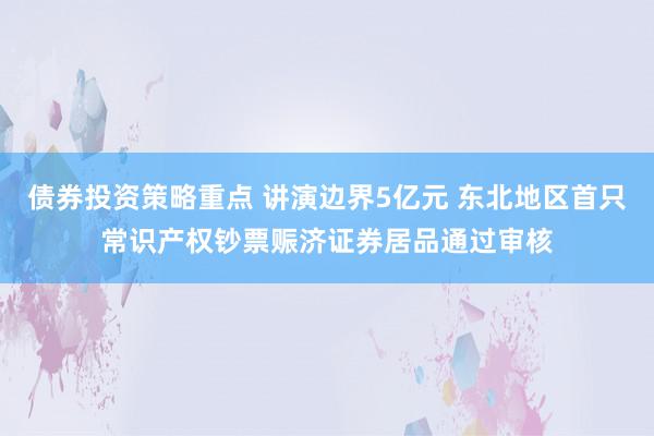 债券投资策略重点 讲演边界5亿元 东北地区首只常识产权钞票赈济证券居品通过审核