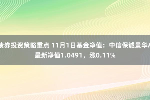 债券投资策略重点 11月1日基金净值：中信保诚景华A最新净值1.0491，涨0.11%