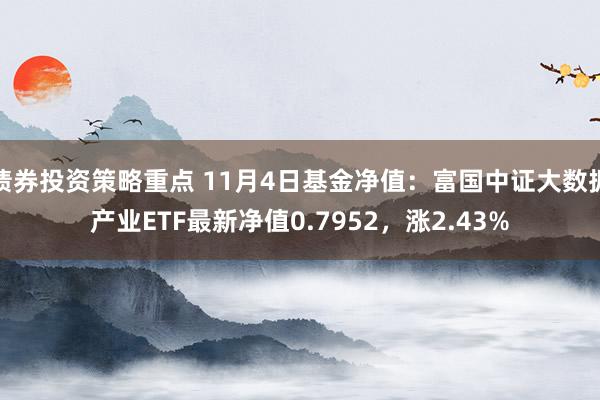 债券投资策略重点 11月4日基金净值：富国中证大数据产业ETF最新净值0.7952，涨2.43%