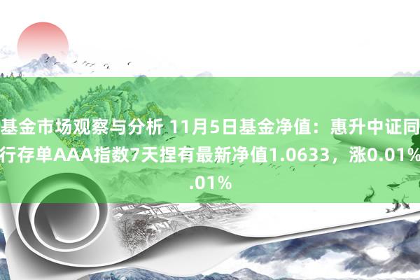 基金市场观察与分析 11月5日基金净值：惠升中证同行存单AAA指数7天捏有最新净值1.0633，涨0.01%